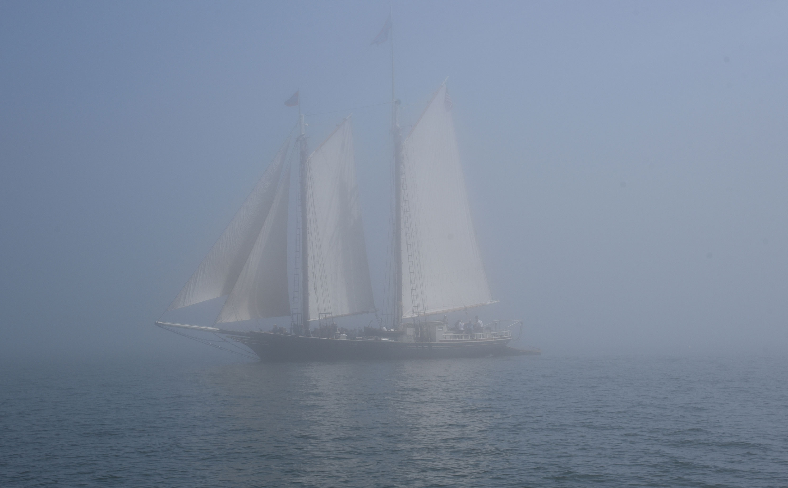 schooner in Maine fog