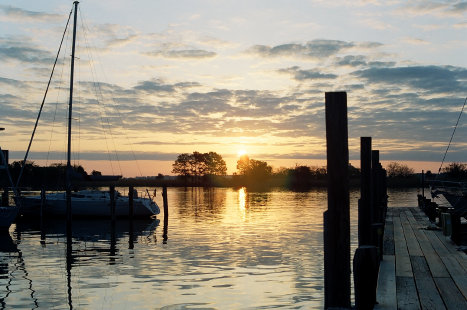 charbor pilings in morn