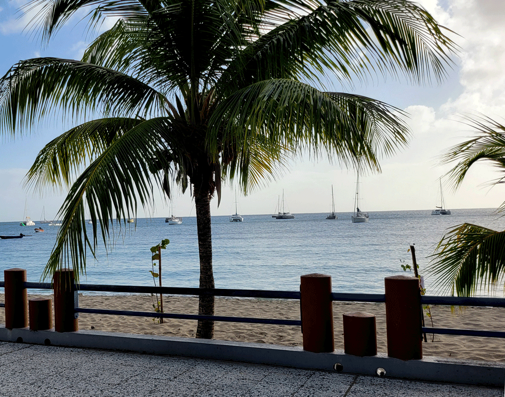 Martinique beachfront